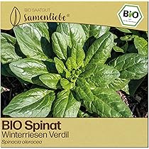 Samenliebe BIO Winterpostelein Samen | Postelein Winterportulak -  winterhart - samenfestes BIO Saatgut : Amazon.de: Garten