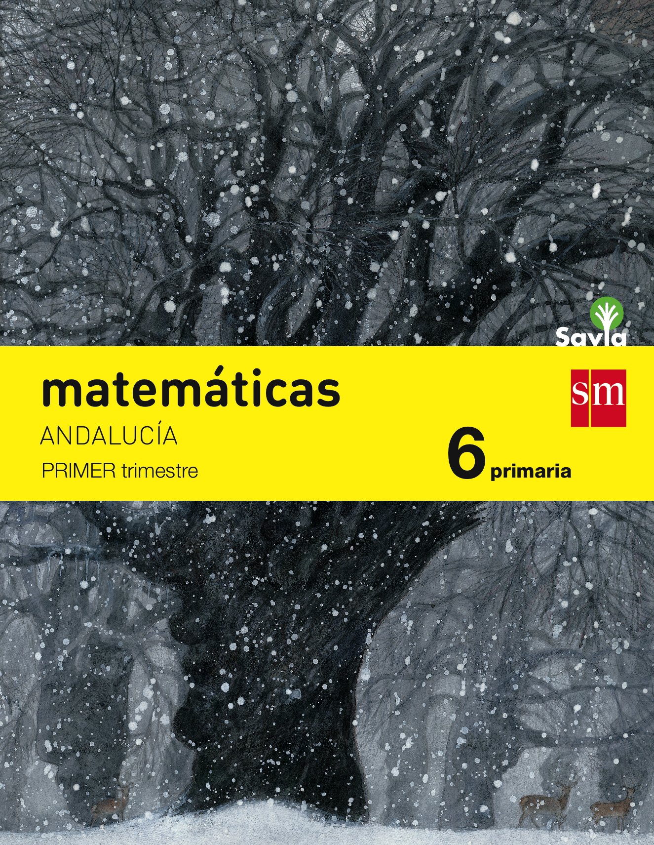 Matemáticas. 6 Primaria. Savia. Andalucía - Pack de 3 libros