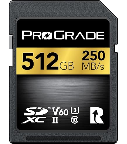 美品 ProGrade CFexpress Type B GOLD 512GB ProGrade Digital 512GB CFexpress 4.0 Type B Gold PGCFX512GATBH