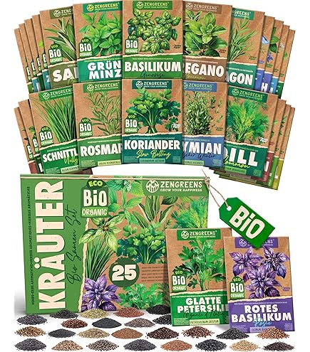 Rapunzel Campanula rapunculus 50 Samen : Amazon.de: Garten