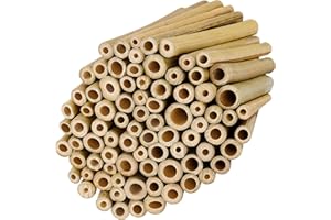 Belle Vous Bastoncini Bamboo Naturale (Set da 100) - L10 x L0,9 cm - Bastoncini Legno Robusti e Resistenti per Nidi di Insetti e Api - Canne di Bambu per Pomodori, Supporto Piante e Fai da Te