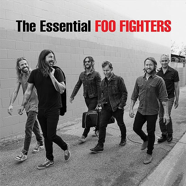 Foo Fighters: Amazon.pl: Płyty CD i winylowe
