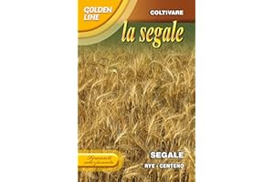 FRANCHI SEMENTI SEMENTI SELEZIONATE DI SEGALE (SECALE CERALE) IN CONFEZIONE DA 100 GRAMMI