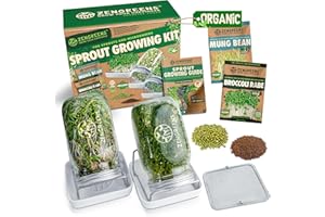 ZenGreens® Organic sprout jar set incl. sprout seeds, sprout tray & video course - set of 1, 2 or 3 - sprout jar set - sprout glass - sprout tray - cress tray - microgreens (Set of 2)