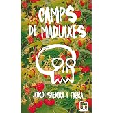 Camps de maduixes (Gran Angular)