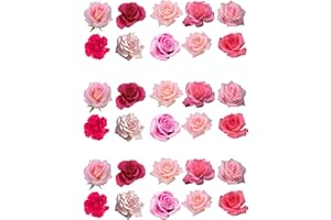 Top That Assortiment de 30 roses en papier comestible pour décoration de gâteau