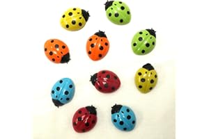 FDD4U Ladybird Emoji Flower Fridge Magnets Whiteboard Magnets Novelty Magnets (Ladybird)