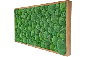naturewalls Moosbild Kugelmoos - Pflanzenbild Vollholz-Rahmen - XXL - Eiche | 110 x 55 cm