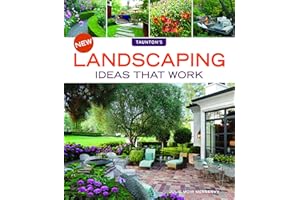 New Landscaping Ideas that Work