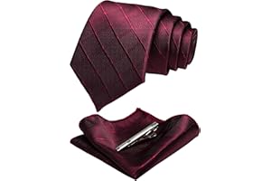 JEMYGINS Cravatta Uomo Scacchi in Diversi Colori con Fazzoletto e Fermacravatta