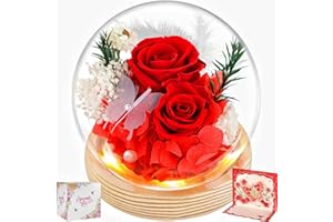 BoriYa Gifts for Women - Infinity Rose, Girlfriend Gift for Birthday, Anniversary, Eternal Roses in Glass, Eternal Roses for Mother Gifts, Preserved Real Infinite Flowers Rose