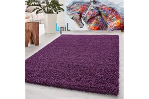 BPIL Unique Modern Large Small Non-Shedding Shaggy Rugs Soft Thick Pile Rectangle Purple Color Rug (60x110cm)