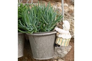 Pot Buddies Beatrix Potter Mrs. Tiggy-Winkle Figure Plant Pot Hanger - Handmade Garden Ornament - Decorative Flower Planter Figurine