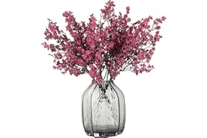 JAKY-Global Künstliche Blumen 6 Stück Getrocknete Unechte Seide Blumen Babysbreath Pflanze Dekoration für Hochzeit Sträuße Haus Garten Party Blumenschmuck (Weinrot)