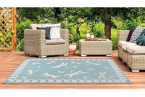 Lord of Rugs Terrace Dragonfly Outdoor Rug for Garden, Patio, Living Room, Indoor, Kitchen, Balcony, Picnic, Bedroom Bordered Lightweight Mat Flatweave Rug Teal Medium 120x170 cm (4'x5'6")