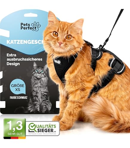 Katzengeschirr Mit Leine – Ausbruchsicher, Verstellbar, Reflektierend, Weiches Netzgewebe