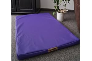 HUNDEBETTENMANUFAKTUR Matelas orthopédique pour chien - Hypoallergénique - Similicuir - Fibre de coco - Plusieurs tailles et couleurs