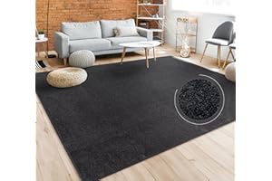 PACO HOME Tappeto per soggiorno tinta unita semplice e moderno pelo corto, div. misure e colori, Dimensione:Ø 120 cm tondo, Colore:Nero