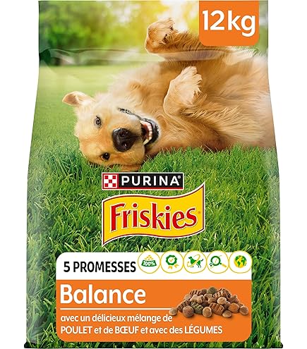 Hondenbrokjes Voor Kleine Honden Purina Friskies Vitafit Mini Menu Hondenvoer - 6 X 1,5 Kg Zakken Met Rijst En Runderbrokjes Voor Kleine Honden Purina Vitafit Kleine Honden