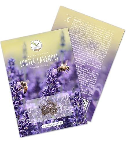 Semi Di Lavanda Vera Lavandula Angustifolia - 1000 Semi | Profumati, Per Api, Resistenti - Foto 7