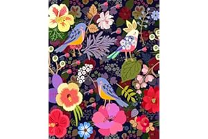 TISHIRON Cape Town Flowers Adult Paint by Numbers, Frameless DIY Oil Painting Plant Paint by Numbers for Adults, Flower and Birds DIY Paint by Number, Canvas Artwork Art Crafts 16x20 Inch