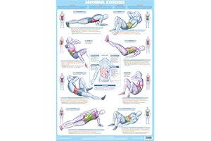 CHARTEX Abdominal Exercise Chart (A3 Laminated)