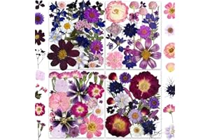 YouthBro Fiori Pressati Viola Bianchi con Adesivi a Farfalla - Fiori Veri Naturali Set di Erbe per Resina Gioielli Fai Da Te Candele Vasi di Sapone Creazione di Carte