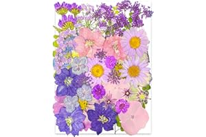 YoothBro Fioletowe suszone prasowane kwiaty do form żywicznych, prawdziwe naturalne prasowane kwiaty do majsterkowania artystycznego, tworzenia świec, dekoracji paznokci, produkcji mydła, etui na