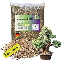 Baumstumpf Begru00fcnen U00bb Ideen & Tipps Fu00fcr Garten & Balkon