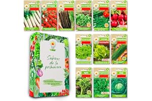 LW TORAF TORAF set de semillas de hortalizas 12 pack, kit semillas huerto semillas ecologicas para cocina, balcón y jardín, puerro, fresa, arúgula, rábano, espinaca, lechuga, canónigos, col y otros, owngrown