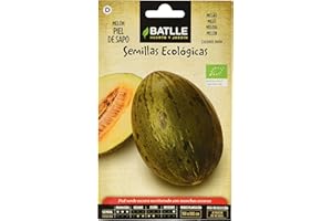 Graines Bio de Batlle - Melon peau de Crapaud (70 graines)