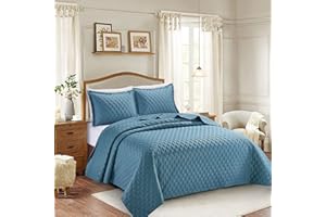 GENERIC BQC Luxury Quilted Bedspread Bed Throw Comforter Embossed Pattern Machine Washable 3 Pcs Inspiration Bedding with 2 Pillow Cases (King, Blue)
