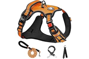 NESTROAD Imbracature con Pettorina Cane ad h Guinzaglio Antifuga Arancione per Cani di Taglia Grande, Taglia XL per Cane Grossa con Collo 43~64CM Petto 53~89CM, Cintura Sicurezza Accessori Cani Auto