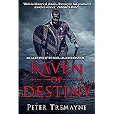 Raven of Destiny: A Celtic Fantasy Novel