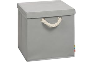Storanda | Aufbewahrungsbox LEO + Deckel | Faltbox | Korb | 30x30x30 cm | (Grau)