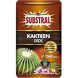 Substral Kakteenerde, Substrat, vorgedüngte Erde für alle Kakteen- und Sukkulentenarten - 5 l