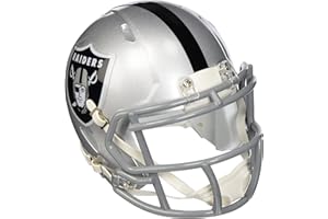 Riddell NFL Speed Mini Helm