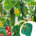 WNE Jaliwale Plant Climbing net & Creeper Net & Plant Trellis Net Plant Support Net Green Color for Agriculture and Gardening Net - 6Feet x 6Feet