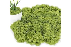ROLLWAY Musgo Artificial Decoracion 150g Simulación de Musgo Planta Verde Artificial Musgo Simulación Césped Artificial Musgo para decoración de Manualidades Jardines Eternos (Verde Claro)
