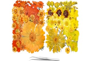 YouthBro 81PCS Orange Yellow Dried Pressed Flowers for Resin Real Nature Flowers Herb Set for DIY Jewelry Candle Soap Vase Making Nail Card Scrapbook Art Craft Floral Decors