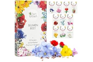 Blumen Samen für Garten und Balkon: 10 Sorten Premium Blumensamen Tütchen als Pflanzensamen Set – Balkonblumen Samen – Wildblumensamen Saatgut Balkon und Garten von OwnGrown