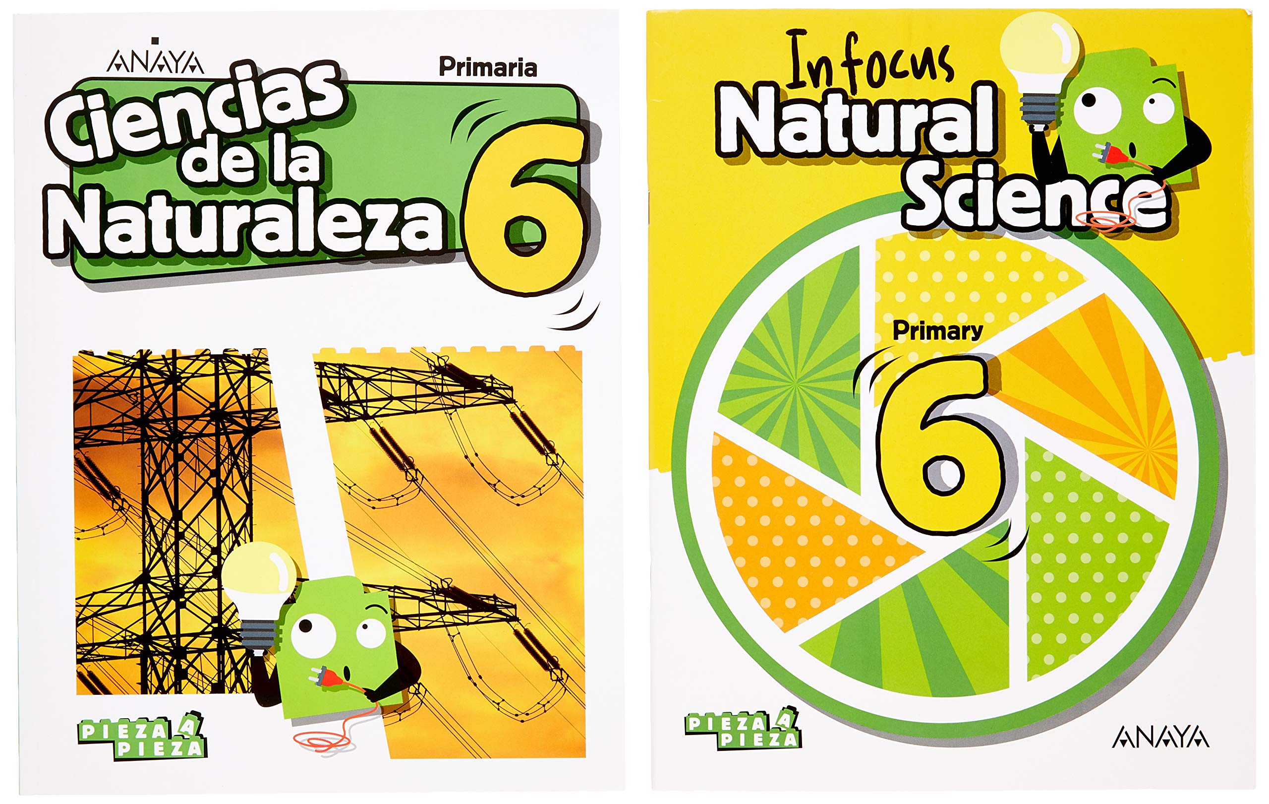 Ciencias de la Naturaleza 6. + Natural Science 6. In focus