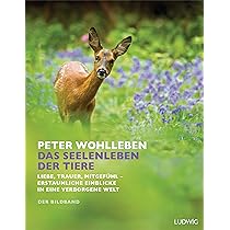 Das Seelenleben der Tiere: Liebe, Trauer, Mitgefühl – erstaunliche