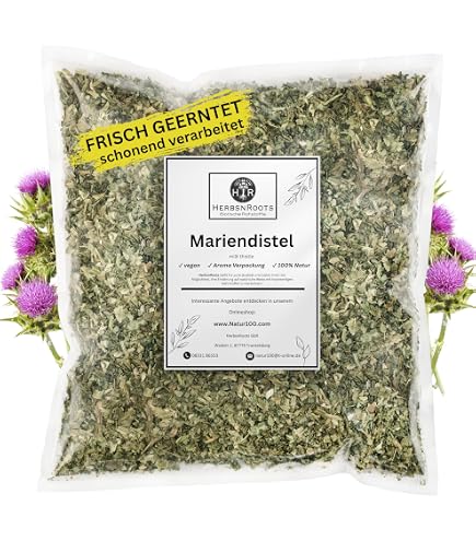 1000Kruter Gundermannkraut Gundermann geschnitten Gundelrebe Heilpflanze  Krutertee Glechoma hederacea (250g) : Amazon.de: Lebensmittel & Getrnke