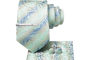 Hi-Tie Classic Mens Silk Ties Set 4 PCS Necktie Pocket Square Cufflinks Clip Pin Solid Strip Paisley Tie