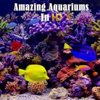 Amazing Aquariums In HD