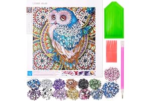‎TATEANGNIK Tateangnik 40 * 40 cm Diamond Painting Set für Kinder Erwachsene, DIY 5d Diamond Painting Kinder Mädchen im Alter von 6-15 Jahren, Geschenke für Kinder Teenageralter Freunde