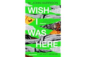 PROFILE BOOKS Wish I Was Here: 'The best writer you've never heard of' - Sunday Times