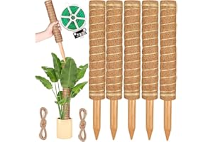 LAUFUNJOY Support pour plantes de 40 cm de long en tiges et mousse, support Monstera, bâton de mousse pour plantes grimpantes