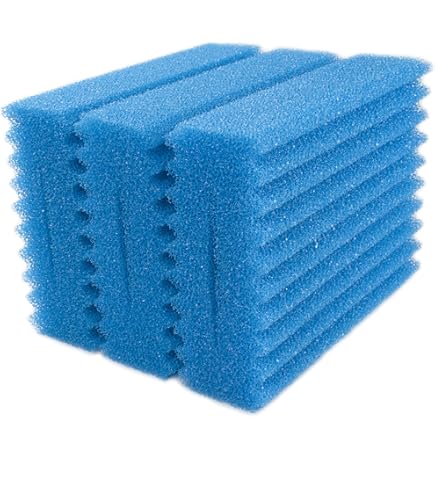 3 sponzen blauw voor Biotec 5 - 10 - 30 medium kopen
